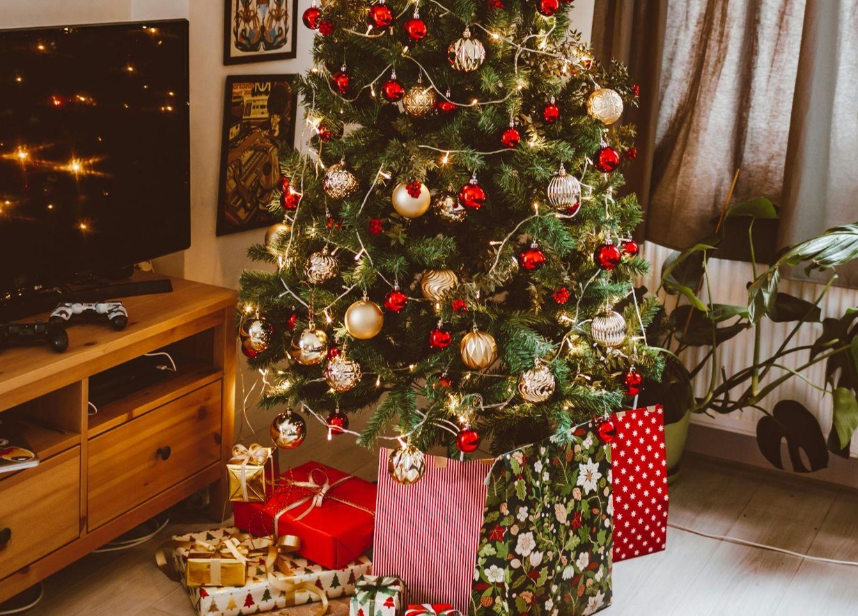 The Magic of Choosing the Perfect Christmas Tree